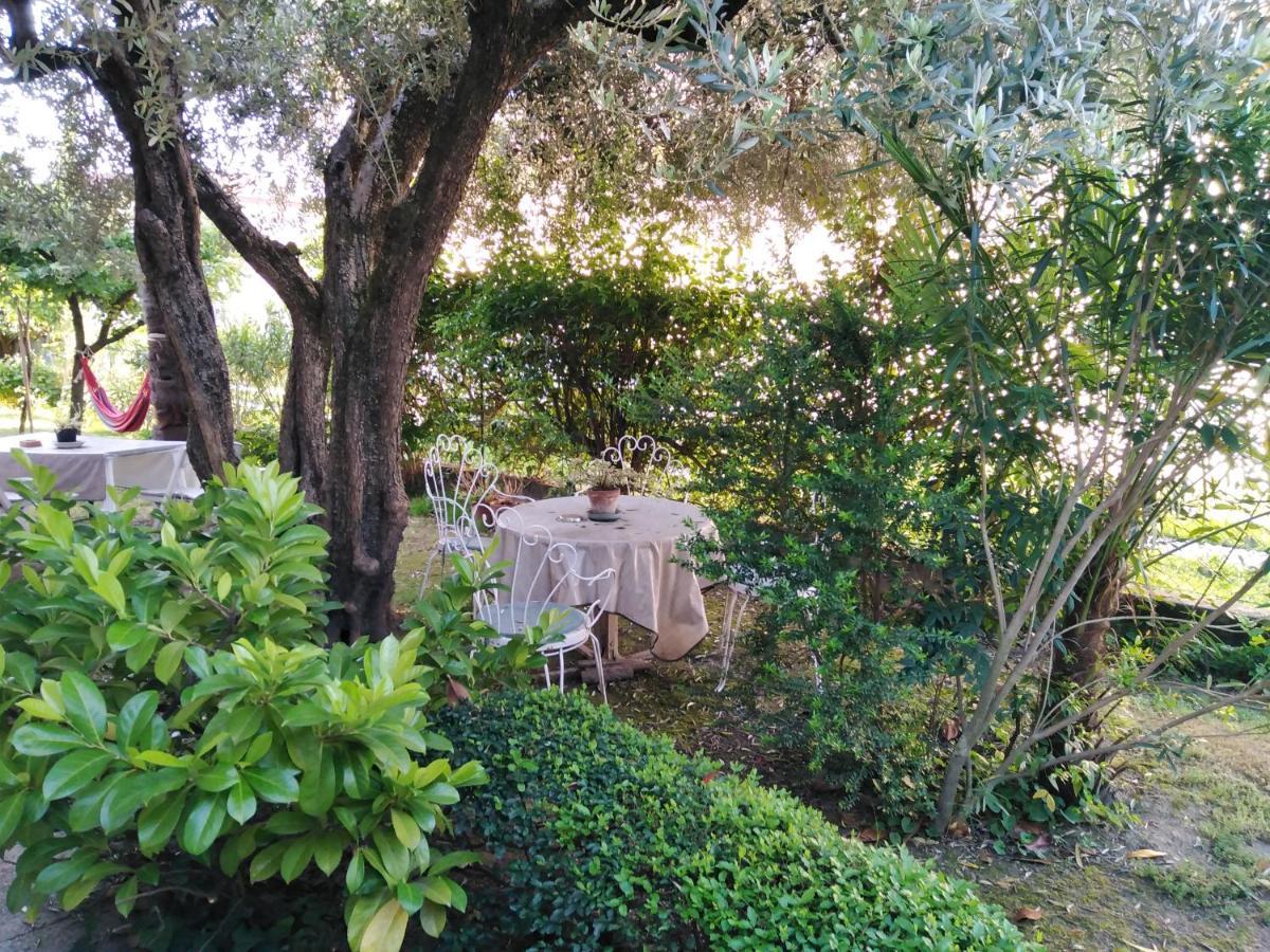 Bed and Breakfast Casa Irene Torri di Quartesolo Exterior foto